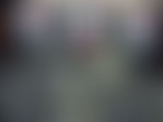 DOF emite lineamientos de remuneración y austeridad para diputados en 2026