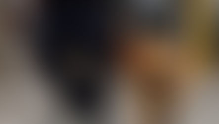 Perros K-9 apoyan Operación Mochila en escuelas de Chihuahua para detectar drogas