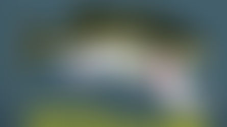 Multas y sanciones por pescar lobina negra durante la veda en Chihuahua