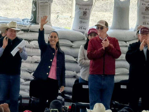 México alcanza autosuficiencia en frijol con producción récord de 1.2 millones de toneladas