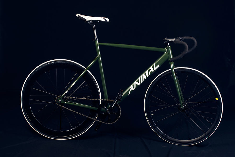 anymal cycles41947.jpeg