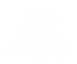 campfire (1).PNG