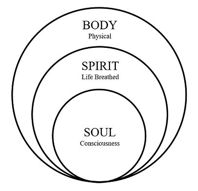 Tripartite of man2