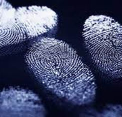 fingerprint