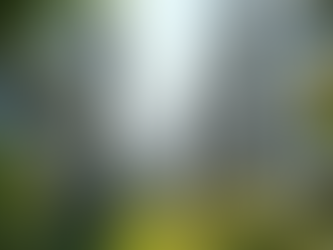 Modern Student Housing Stellenbosch: Exploring Accommodation Options