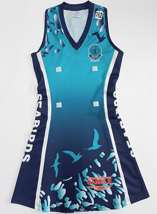 Seabirds netball or hockey dress front view