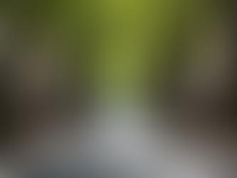 Top Stellenbosch Attractions to Visit