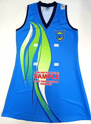 Blue Swooze Dress