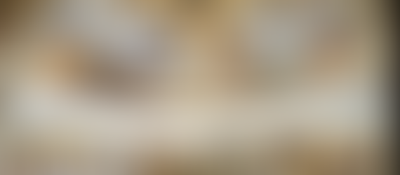 Online Raphael Exhibition: Review by Varya