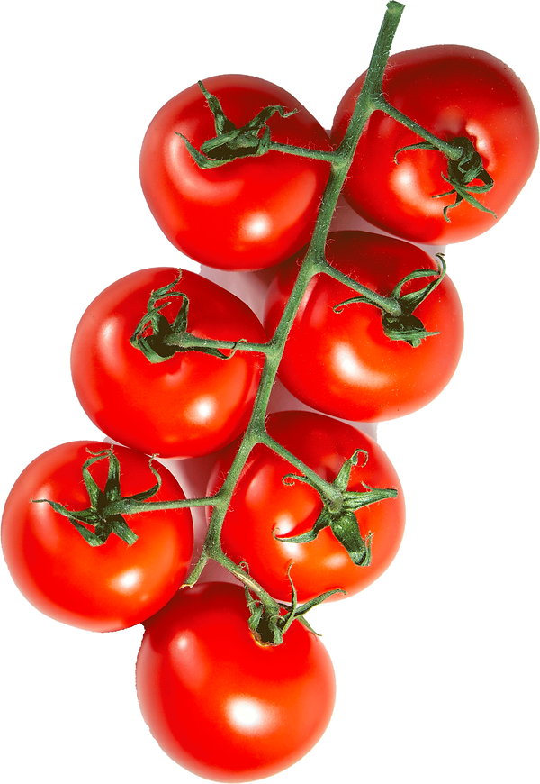 Tomatoes---transparent-red-#-3.png