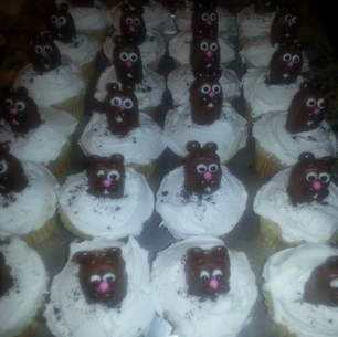 Got Groundhogs?