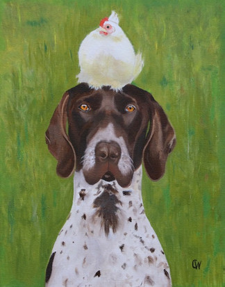 Bird Dog UNF.jpeg
