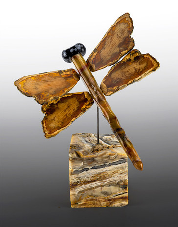 Dragonfly 2.jpeg