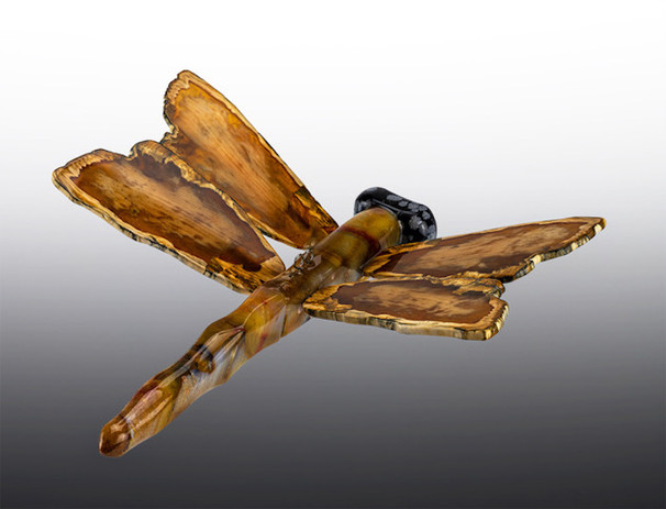 Dragonfly.jpeg
