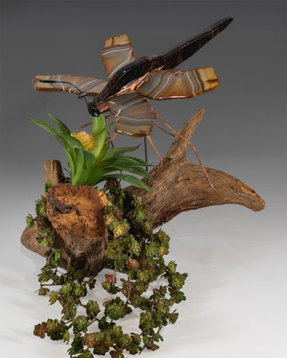 Dragonfly Stack 2.jpeg