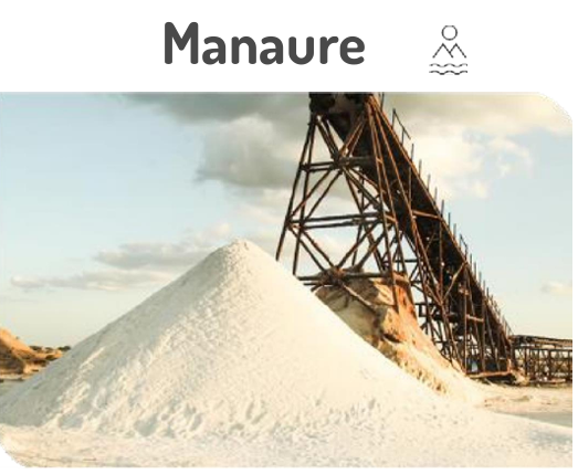 Manaure