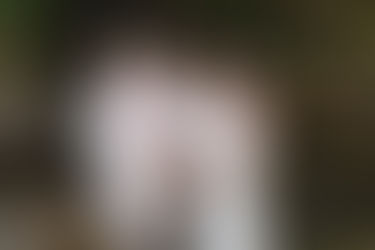 What Actually Happens at a Family Photo Session: A Sutherland Shire Family Photographer's Honest Guide