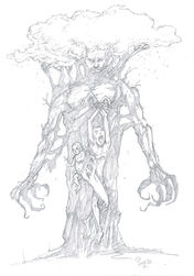 Heart of the Tree (pencils)