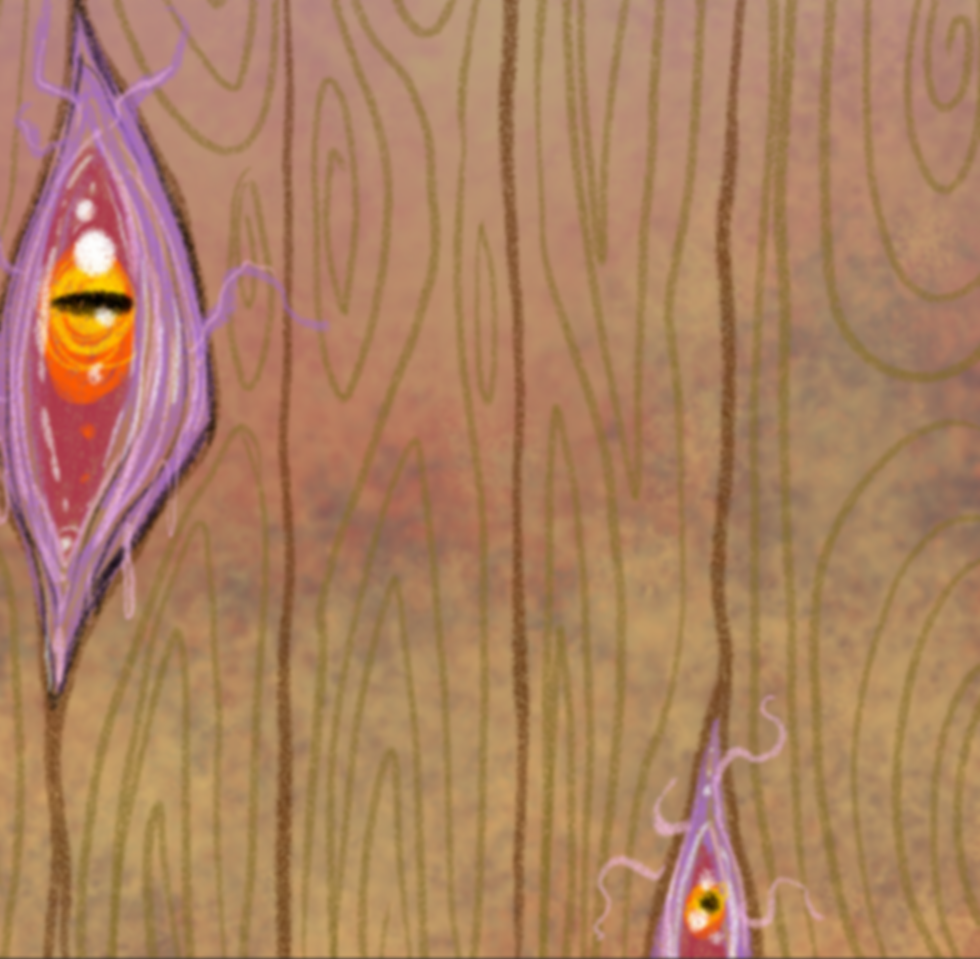Screenshot 2025-06-11 at 10.16.57.png