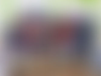 Delivering Food to Families