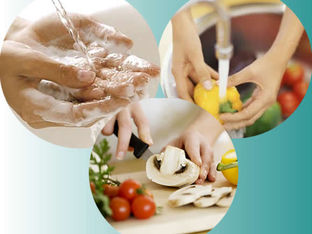 A importância dos Manipuladores de Alimentos