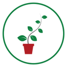 FFS-Plant-Icon800px.png
