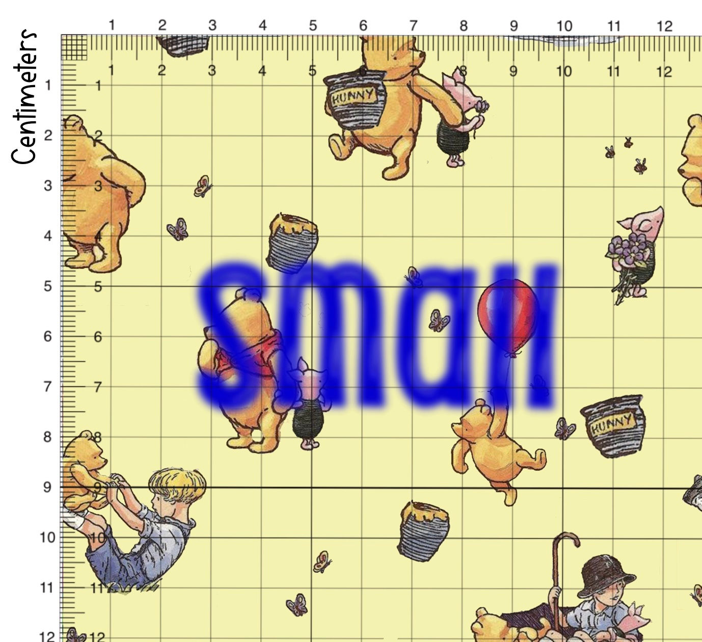 Bear adventures