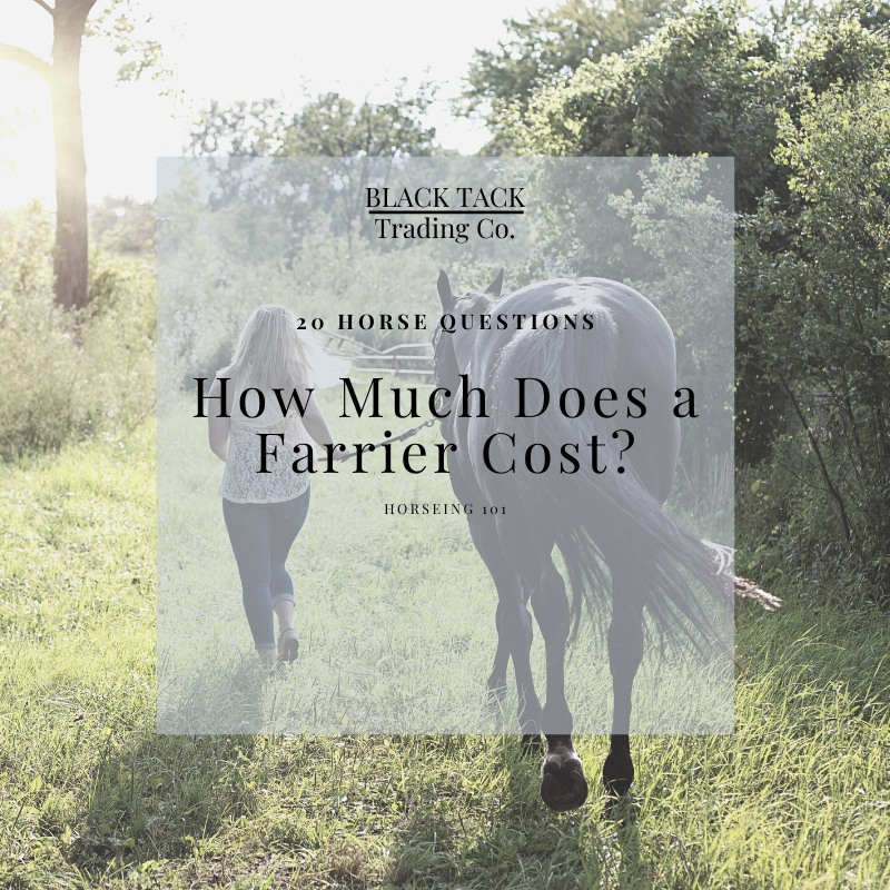 How Much Does A Farrier Cost?