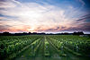 Build A Custom Tour_Winery.jpg