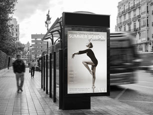 Brand development work for the American Academy of Ballet by Italia Designs.