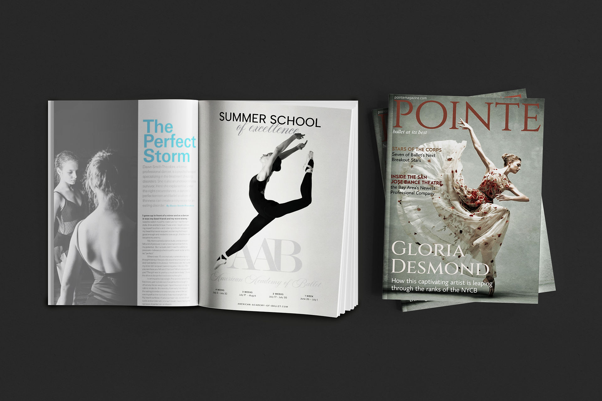 Brand development work by Italia Designs for the American Academy of Ballet.