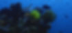 reamaker_banner4.jpg