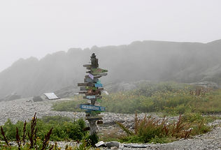 IMG_2669.jpg