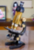 Leitz COMP Microscope, 1927