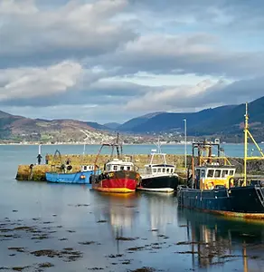 Cooley Peninsula Boats.webp