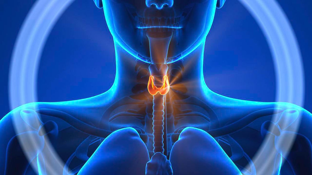 Проверка узлов щитовидной железы во Владивостоке?