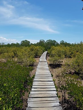 WhatsApp Image 2023-03-15 at 16.40.36 (2).jpeg