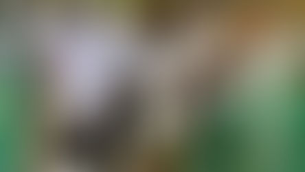 ECOS: a Bofa giornata di scambio per una pesca sostenibile