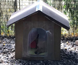 38218280_1833205880059380_57222665457243