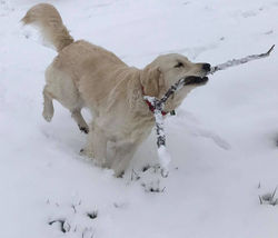 27657735_1632437293469574_44335849621530