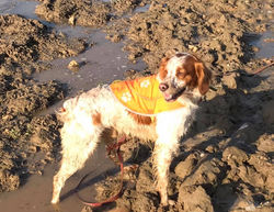 28166772_1643133969066573_34572597875492