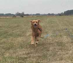 44742969_1942536525792981_84033658941761