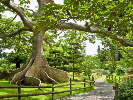Beauties from the "Garden of Eden" Dominican Republic