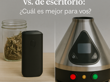 Vaporizadores portátiles vs. de escritorio: ¿Cuál es mejor para vos?
