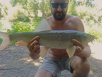 Specialist al barbo
