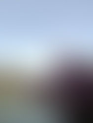 Barbo a Specialist. Lenze vincenti