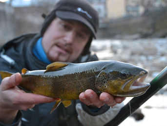 TROTA TORRENTE Freddo come... apertura!