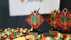 Continuação Eleições Órgãos Sociais 2025-2028