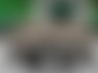 TeamGym: calendário competitivo arranca com formato inovador