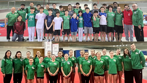 Artística: Seleção Nacional em estágio na Anadia